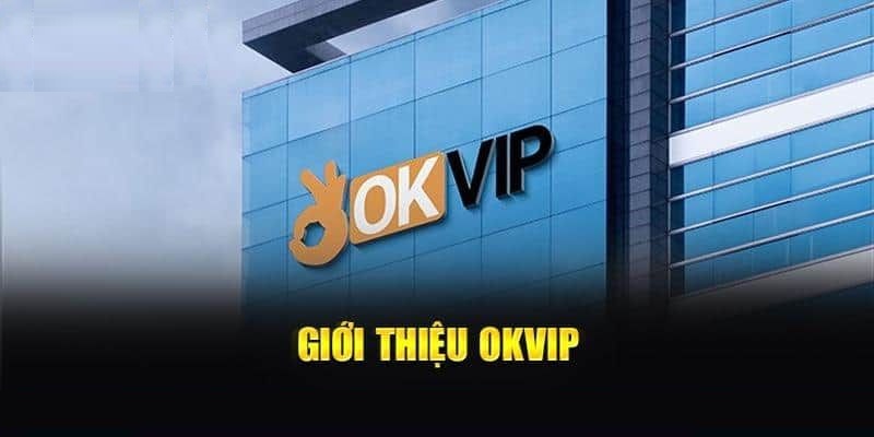 Khám phá những thông tin quan trọng về tập đoàn OKVIP
